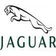 MAY2017/1495998777_jaguar.jpg